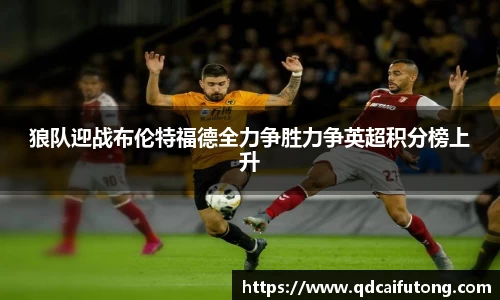 星空综合体育官网